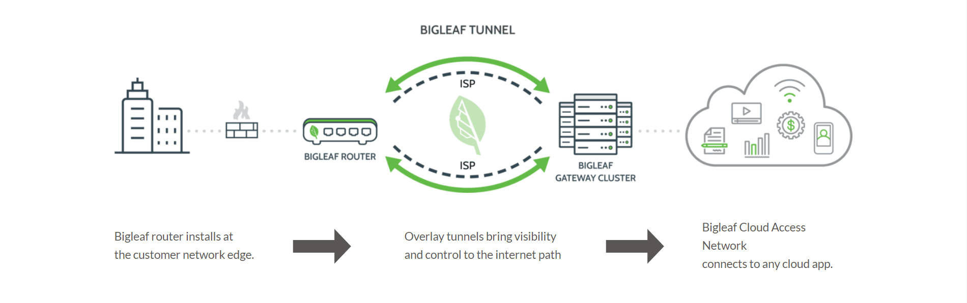 A diagram of the big leaf tunnel